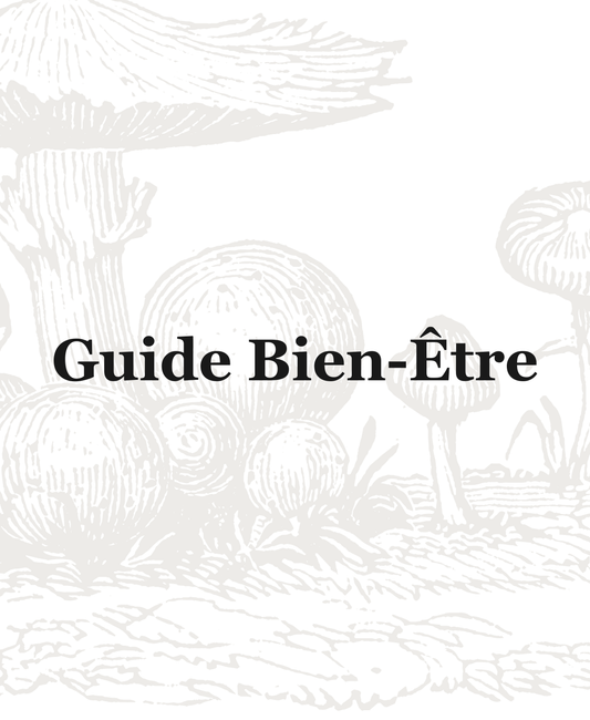 Guide Bien-Être Numérique (FR)