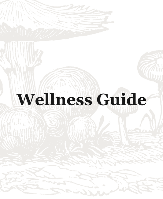 Digital Wellness Guide (EN)